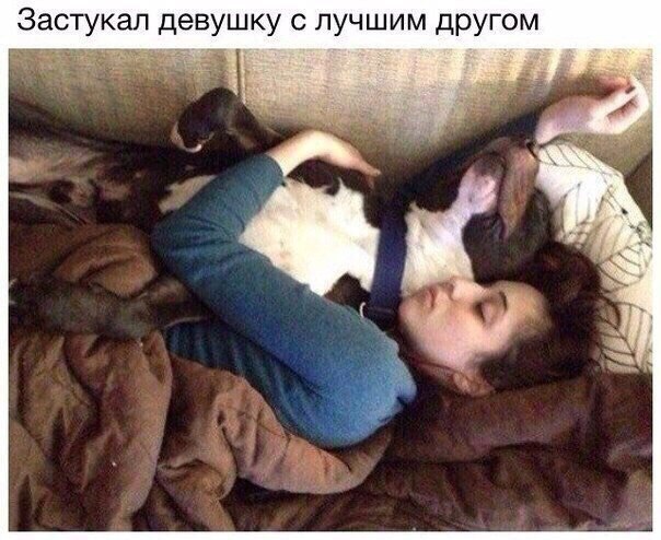    - 3  2017  03:41