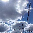 ���� Irin�, ������, 46 ��� - ��������� 20 ������� 2017 � ������ ������ ��������