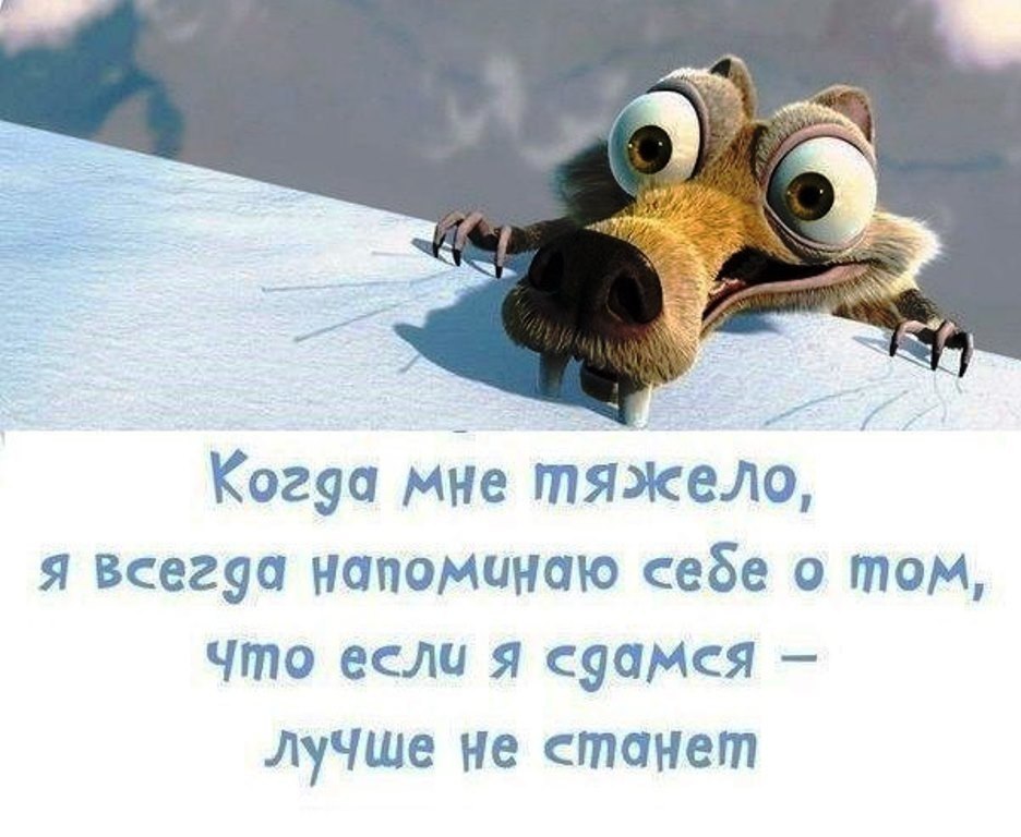   - 11  2017  12:08