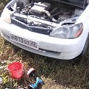 ���� ����, �������, 44 ���� - ��������� 16 �������� 2017 � ������ ���� ����������