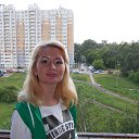 ���� ����, ������ ��������, 41 ��� - ��������� 8 ������ 2017 � ������ ���� ����������