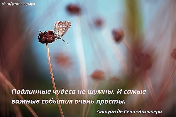 Своё и родное узнаёшь интуитивно, его чувствуешь.. от него учащённо начинает биться сердце. Нужна ...