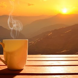 �����, �����, 36 ���