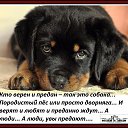 ���� ��������., ������� ���� - ��������� 23 ���� 2017 � ������ ���� ����������