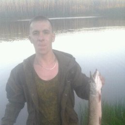 �������, ������������, 43 ����