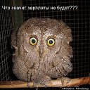 ���� �������, ������, 42 ���� - ��������� 28 ���� 2017 � ������ ���� ����������