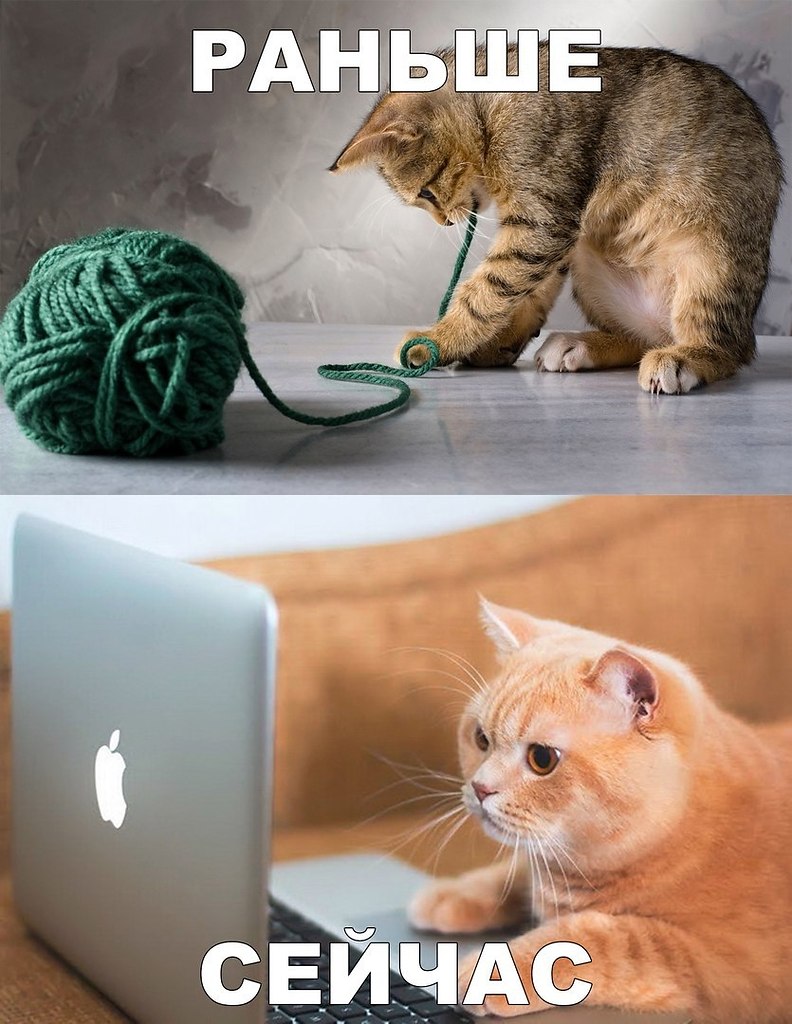    :D - 25  2017  19:32