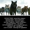 ���� �������, ������, 35 ��� - ��������� 21 �������� 2017