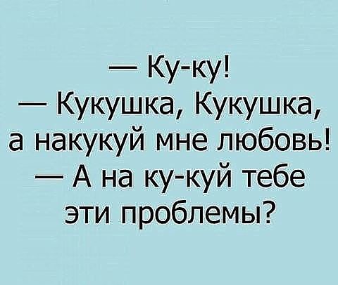  - 13  2017  16:20