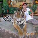 ���� �����, �����������-��-�����, 49 ��� - ��������� 23 ���� 2017 � ������ ���� ����������