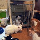 ���� ������, �����, 59 ��� - ��������� 13 ��� 2017 � ������ ������ ��������