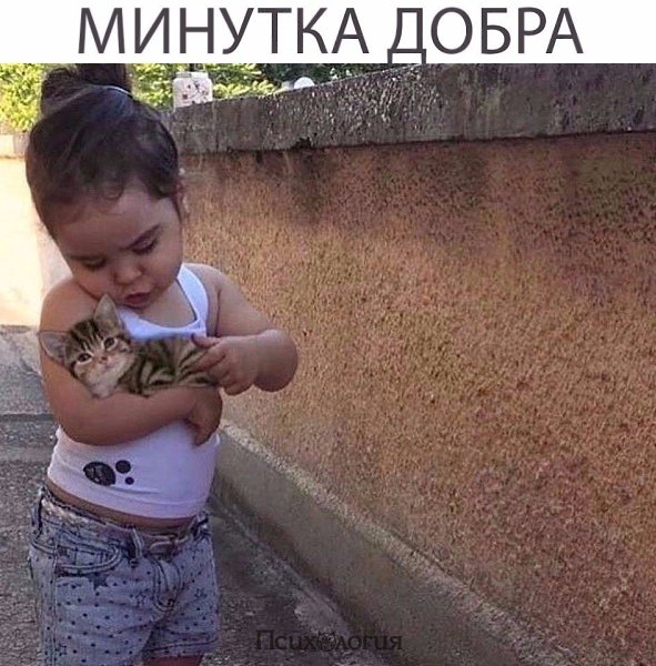  - 15  2017  15:35