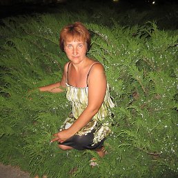 ���� ����, ������� ���, 56 ��� - ��������� 23 ������� 2017