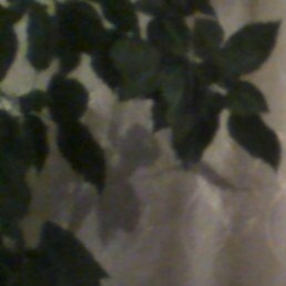 ����, ���������