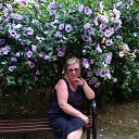 ���� �������, �����-��������� - ��������� 26 ���� 2017 � ������ ������ ��������