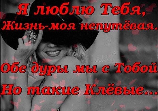 � - �� ����� � �� �����... � ������ �� �����... ��, ����� ����������... ��� ������� ���� ������... ...