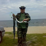 ���������, 62 ����, �����������