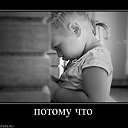 ���� �������, ����������, 43 ���� - ��������� 26 ������ 2017 � ������ ������ ��������