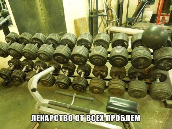  -   - 29  2017  22:33