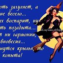 ���� �����������, ����� - ��������� 14 ���� 2017 � ������ ���� ����������