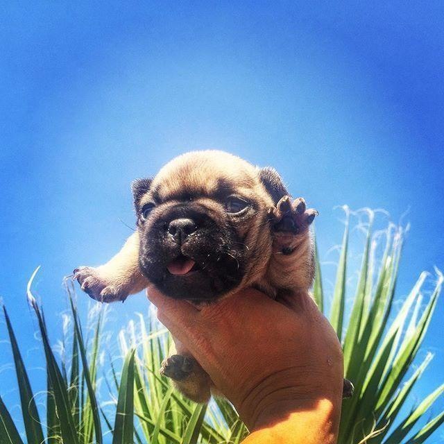  !