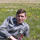 ���� �������, �������, 52 ���� - ��������� 2 ��� 2017 � ������ ���� ����������