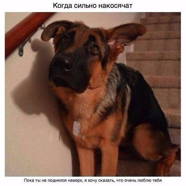 ...    ,     - 5