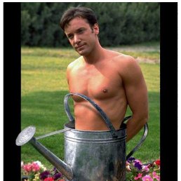 �������, ����������, 44 ����