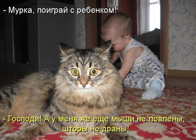   - 2  2017  16:55