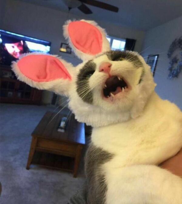 - -!