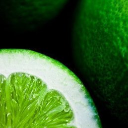 �������, �����-���������, 48 ���