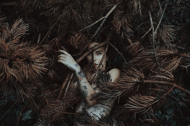 ))).    Alessio Albi - 2