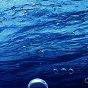 ���� ����, ����������, 64 ���� - ��������� 1 ���� 2017 � ������ ���� ����������