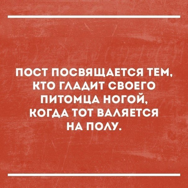  - 24  2017  11:15