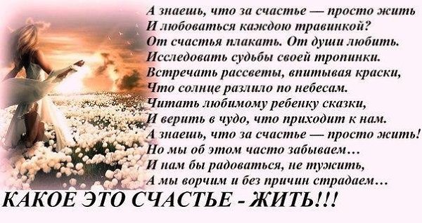 ������ �������� &copy; - 6 ������� 2017 � 21:11