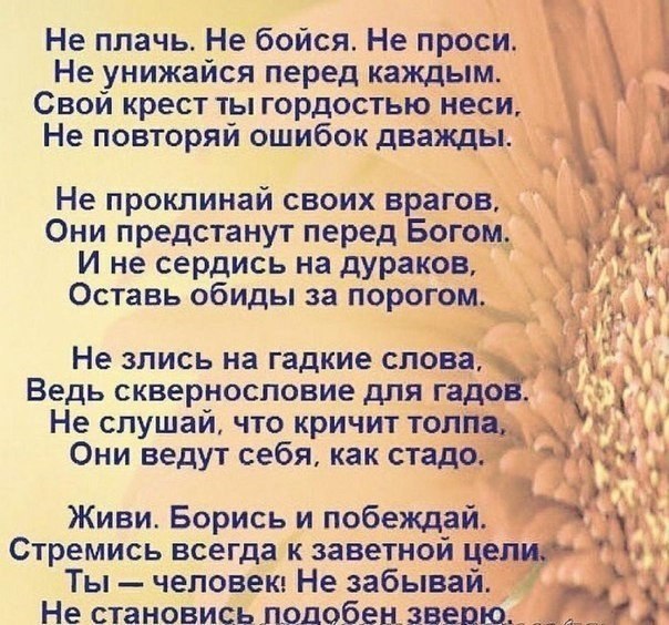    - 20  2017  16:24