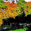  ,  -  24  2017                   Ѩ       һ