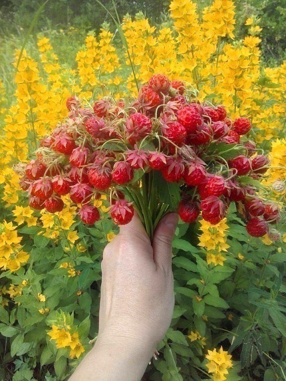 ������ ����........ - 6