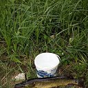 ���� ��������, �����������, 56 ��� - ��������� 25 �������� 2017 � ������ ���� ����������