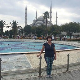 , 65, 