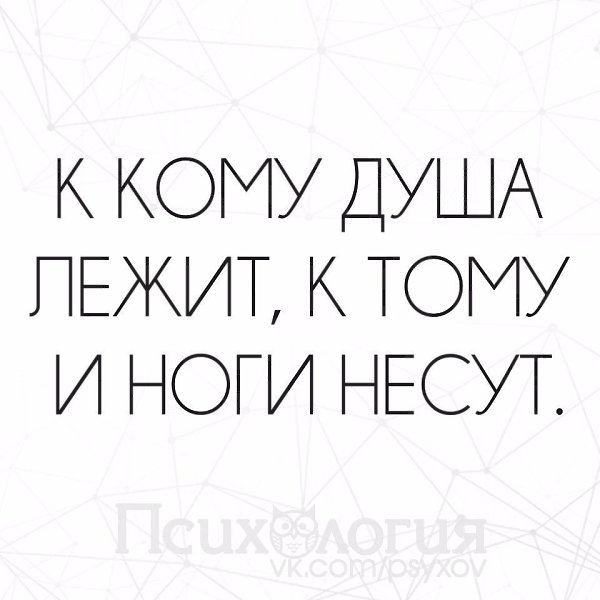  - 7  2017  17:03