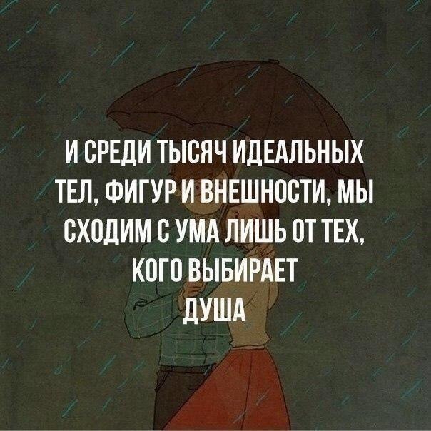   - 26  2017  18:13