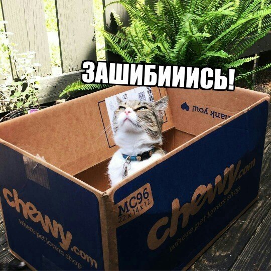 ,  , ! - 2