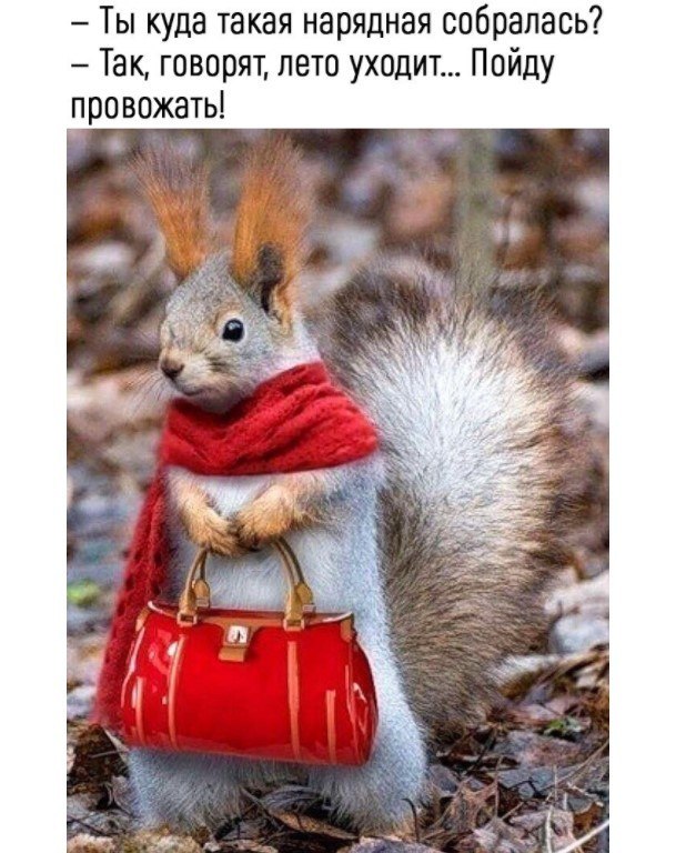  - 31  2017  11:39