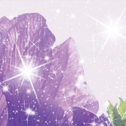 Andrey, ���������, 41 ���