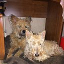 ���� ������, ������, 55 ��� - ��������� 5 ������� 2017 � ������ ���� ����������