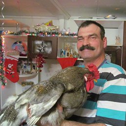 ���� ������, ������, 56 ��� - ��������� 5 �������� 2017