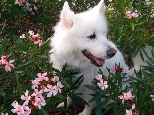  !