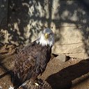 ���� ������, ������ - ��������� 13 �������� 2017 � ������ ����������� ������ʻ