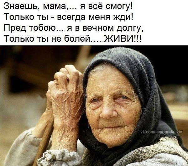 , , , ,  - 6  2017  11:32